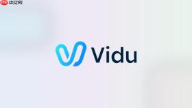 Vidu开发者接入指南：鉴权、参数、回调和内容审核