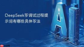 DeepSeek写调试过程提示词有哪些具体写法