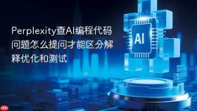 Perplexity查AI编程代码问题怎么提问才能区分解释优化和测试
