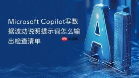 microsoft copilot写数据波动说明提示词怎么输出检查清单
