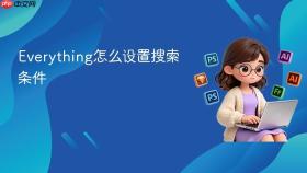Everything怎么设置搜索条件