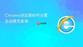 chrome浏览器如何设置自动填充表单