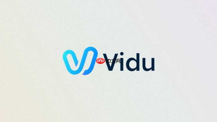 vidu api文生视频参数怎么设置
