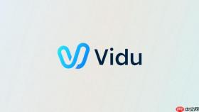 Vidu多参考图怎么生成同一角色视频
