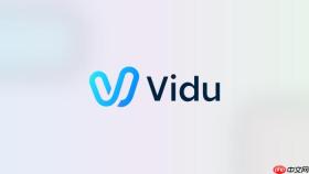 Vidu视频帧检查怎么判断运动问题
