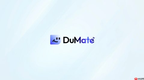 dumate工作报告怎么整理重点结论
