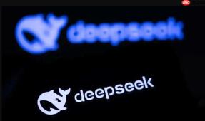 deepseek编程智能体怎么完成代码修复