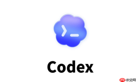 codex没有中文选项怎么办