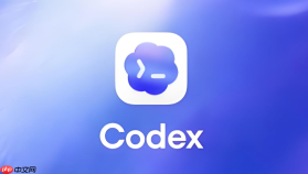codex安装完成后怎么登录