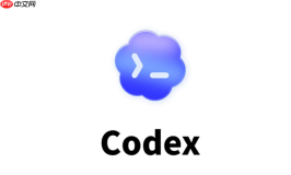 codex安装位置可以修改吗