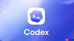 codex cli怎么运行测试命令