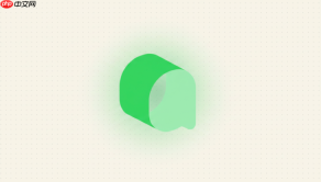 qoder自定义模型提示api key错误怎么办?
