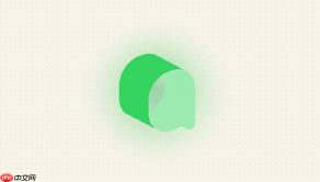 qoder自定义模型提示base url错误怎么办？