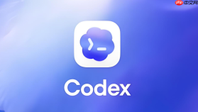 codex cli无法读取文件怎么办