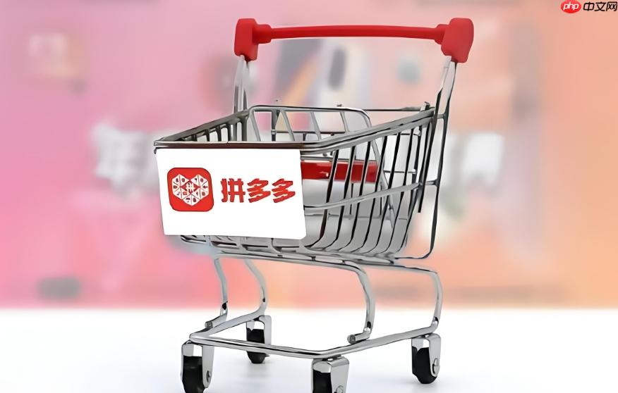 拼多多官方网站地址 拼多多网页版官网地址