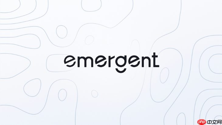 emergent ai生成web应用支持导出代码吗?