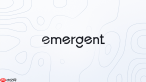 Emergent AI适合前端开发人员使用吗？
