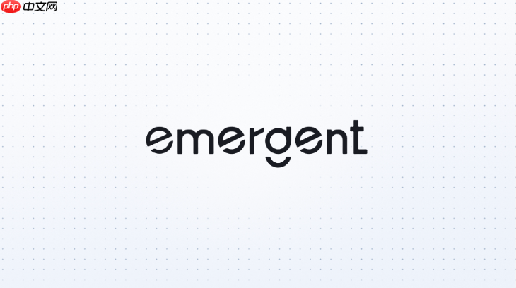 emergent ai生成软件出现问题怎么调整?