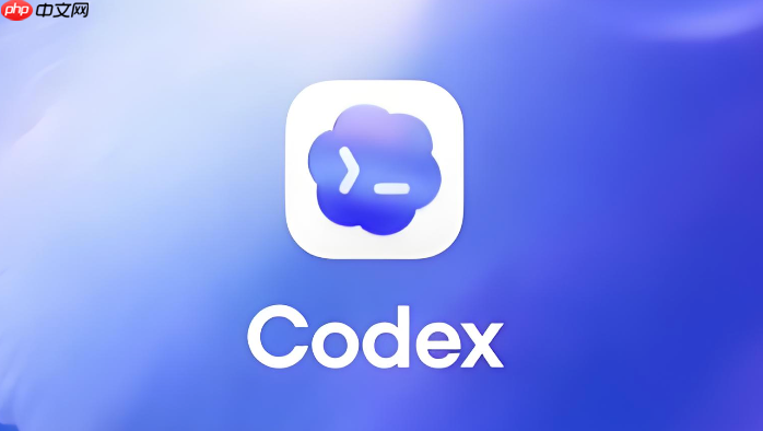 codex响应太慢是服务器繁忙吗?