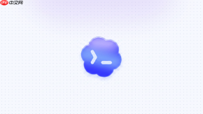 codex怎么在终端里执行 npm 命令？