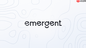 Emergent AI支持开发企业级软件吗？