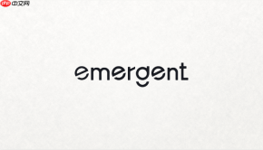 Emergent AI生成的软件如何部署使用？