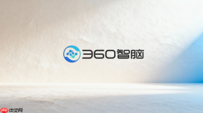 360智脑怎么删除历史记录?