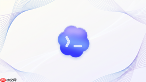 codex启动时报错怎么解决?