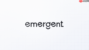 Emergent AI如何开发企业管理类Web系统？