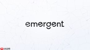 Emergent AI生成的软件代码可以查看吗？