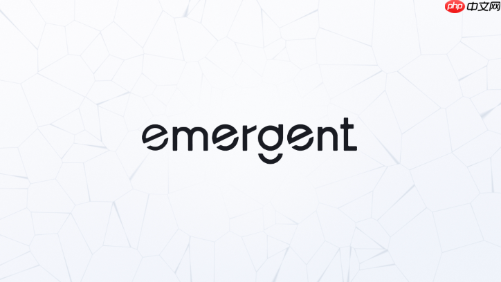 emergent ai生成的软件代码可以查看吗?