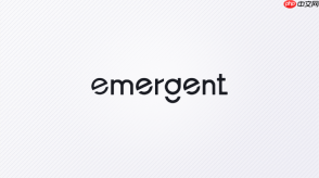 Emergent AI能制作后台管理系统页面吗？
