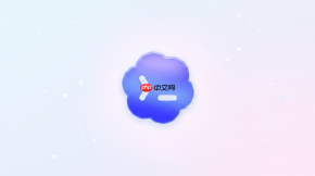 codex怎么在终端里切换 Python 环境？