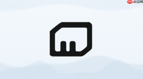 MiniMax Agent GroupID本地开发配置方法
