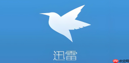 迅雷网页版官网正规入口 迅雷网页版最新官方打开地址