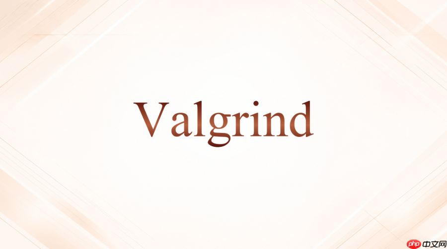 valgrind怎么让报告显示函数名和行号