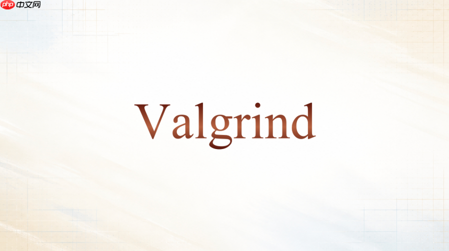 valgrind怎么查看指令执行数量