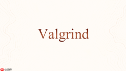 Valgrind显示0 bytes lost说明什么