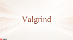 Valgrind性能分析和内存检测差别在哪