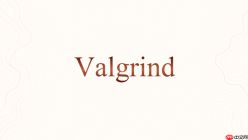 Valgrind Memcheck里的Conditional jump怎么处理