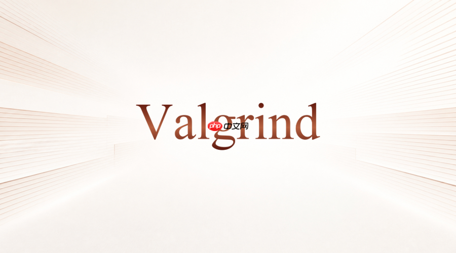 valgrind callgrind分析文件太大怎么处理