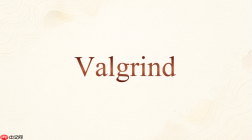 Valgrind Massif能不能看栈内存占用
