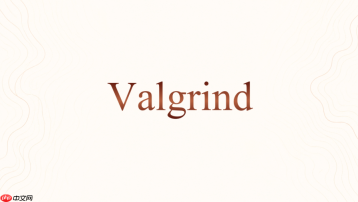 valgrind的--vgdb怎么配合gdb使用