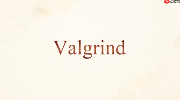 valgrind massif能不能代替泄漏检测
