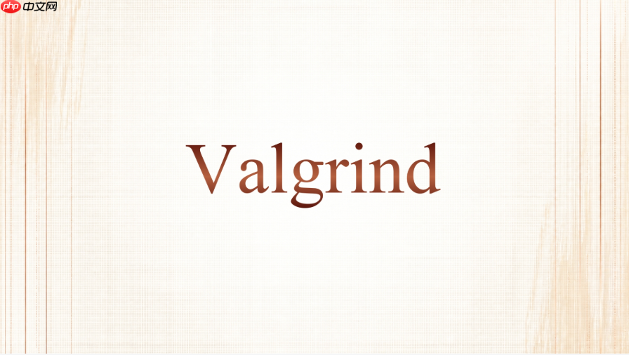 valgrind怎么配合gdb调试c++