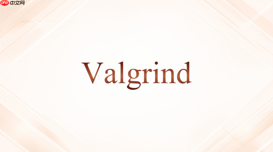 valgrind的--trace-children适合什么程序