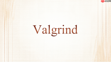 valgrind callgrind结果没有符号名怎么办