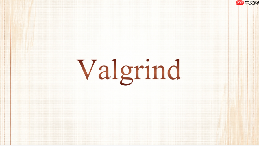 valgrind怎么用参数减少无关提示