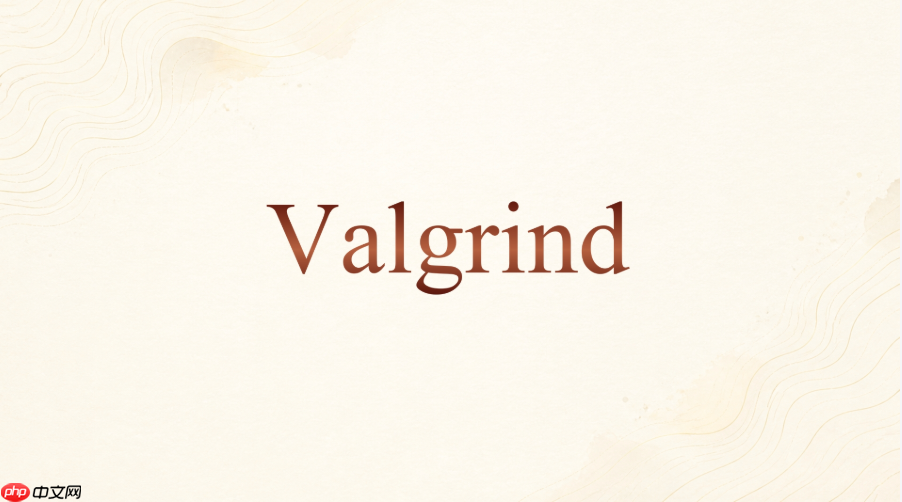 valgrind memcheck怎么把结果写到文件