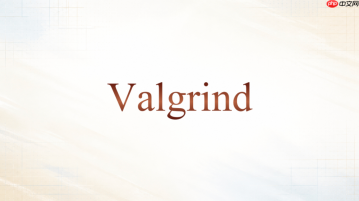 Valgrind Helgrind怎么发现共享变量没加锁